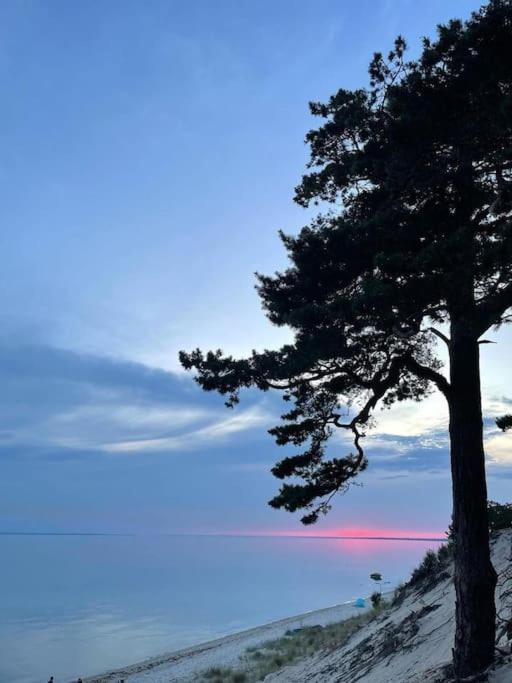 Campolohel- Przyczepa Kempingowa Dış mekan fotoğraf