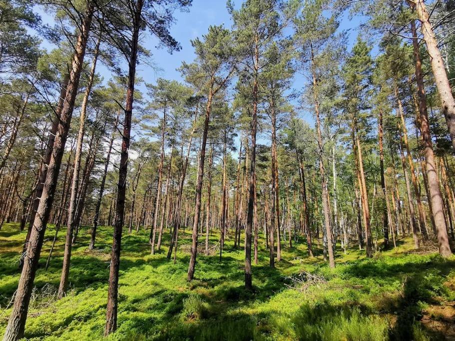 Campolohel- Przyczepa Kempingowa Dış mekan fotoğraf